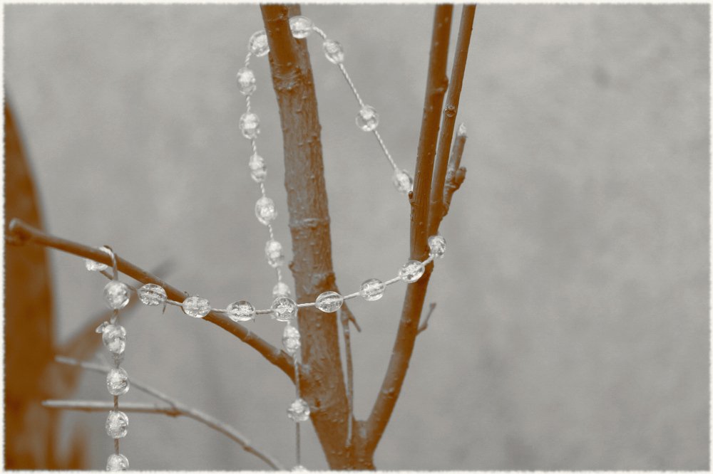 Photograph by Valeria Arcuri