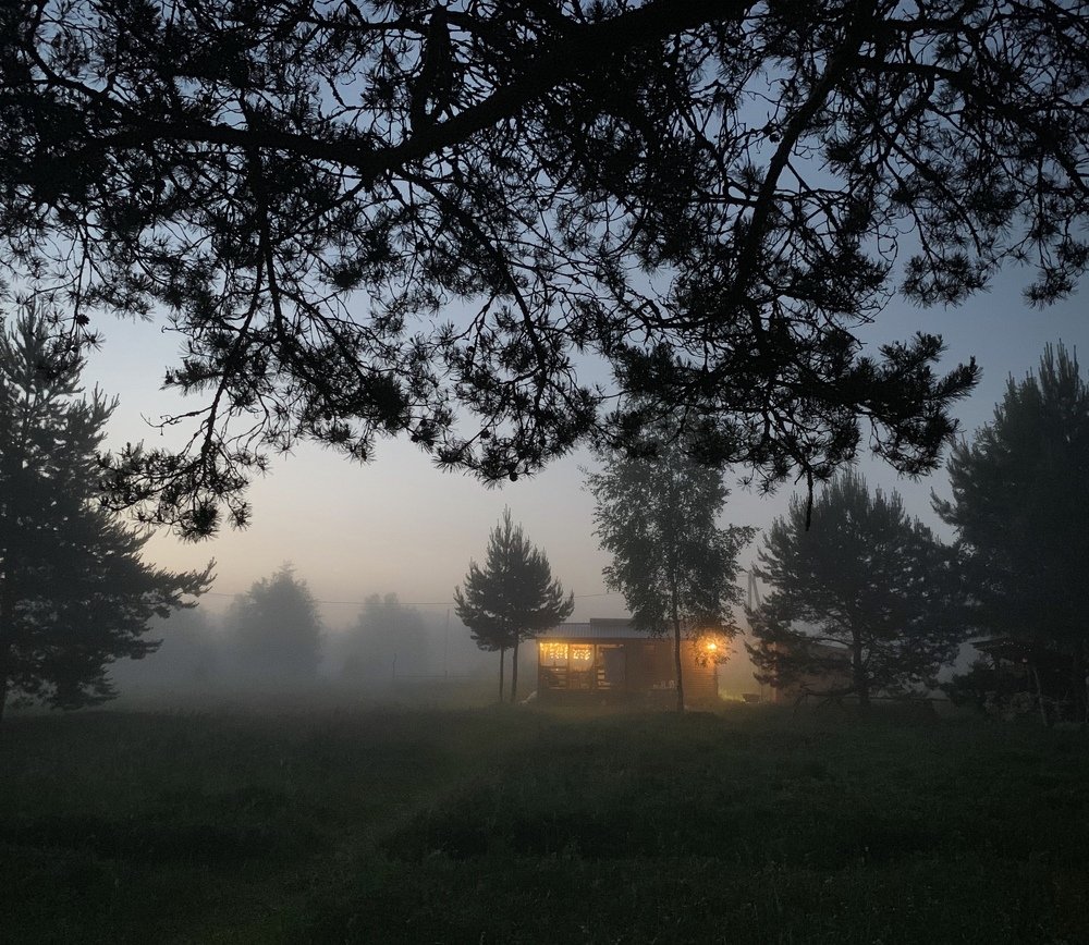 Photograph by Алексей Тихонов