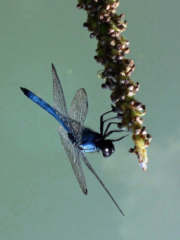 Photograph by Виктор Егоров