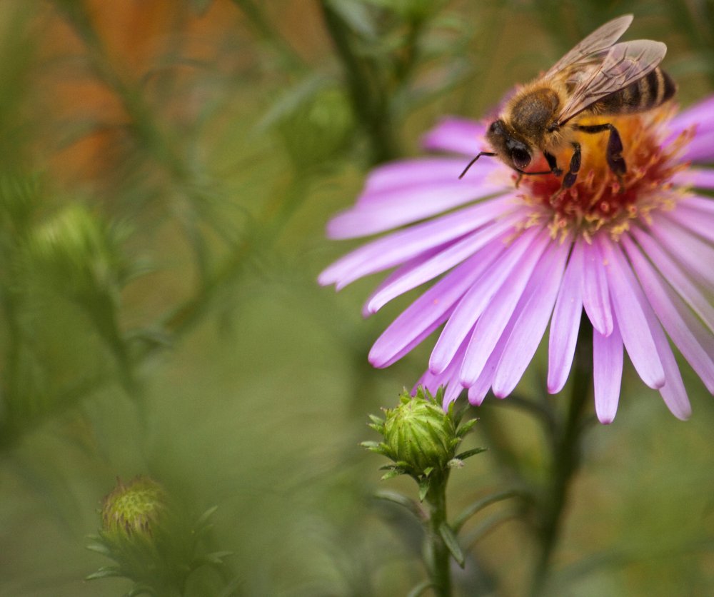 Photograph by Алёна Гильмуллина