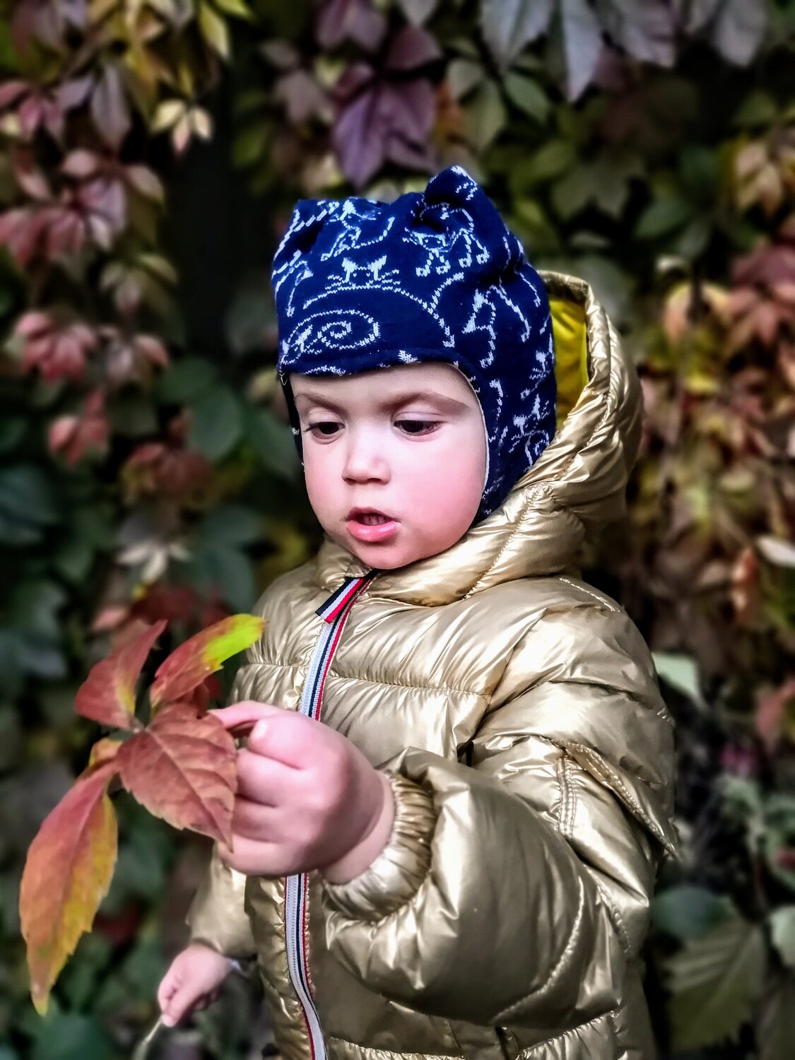 Photo #5216056