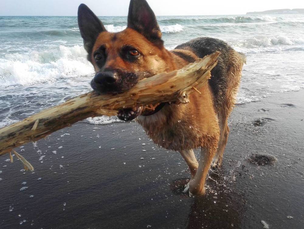 Photograph by Десятова Лика