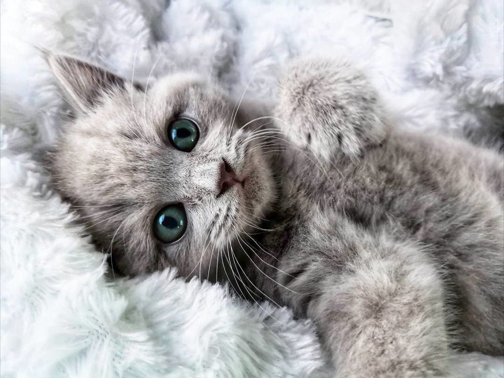 Photograph by Десятова Лика