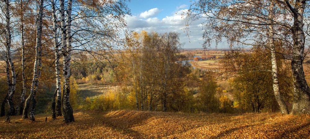 Photograph by Дмитрий Алексеев