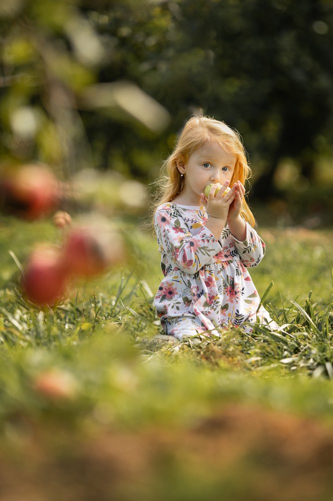 Photograph by Svitlana Krichevsky