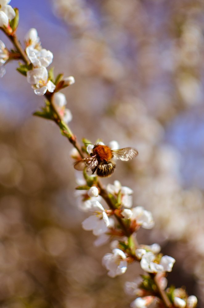 Photograph by Ольга Мукина