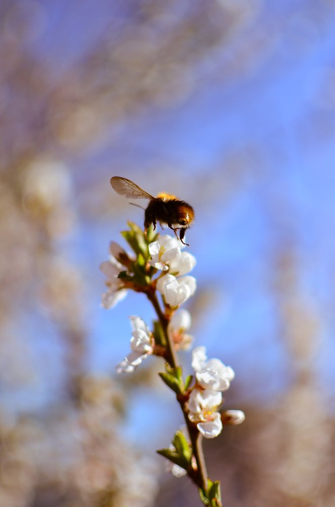 Photograph by Ольга Мукина