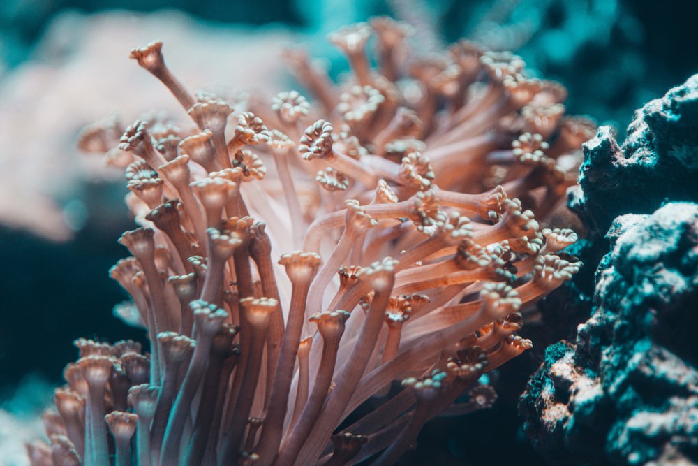 Photograph by Елена Скакун