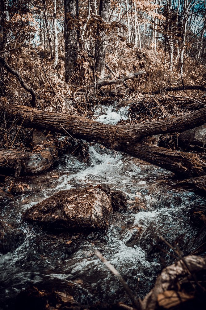 Photograph by Елена Скакун