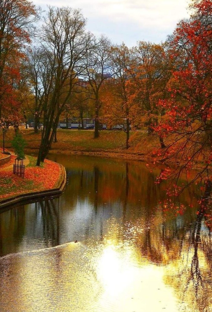 Autumn, sun and reflections