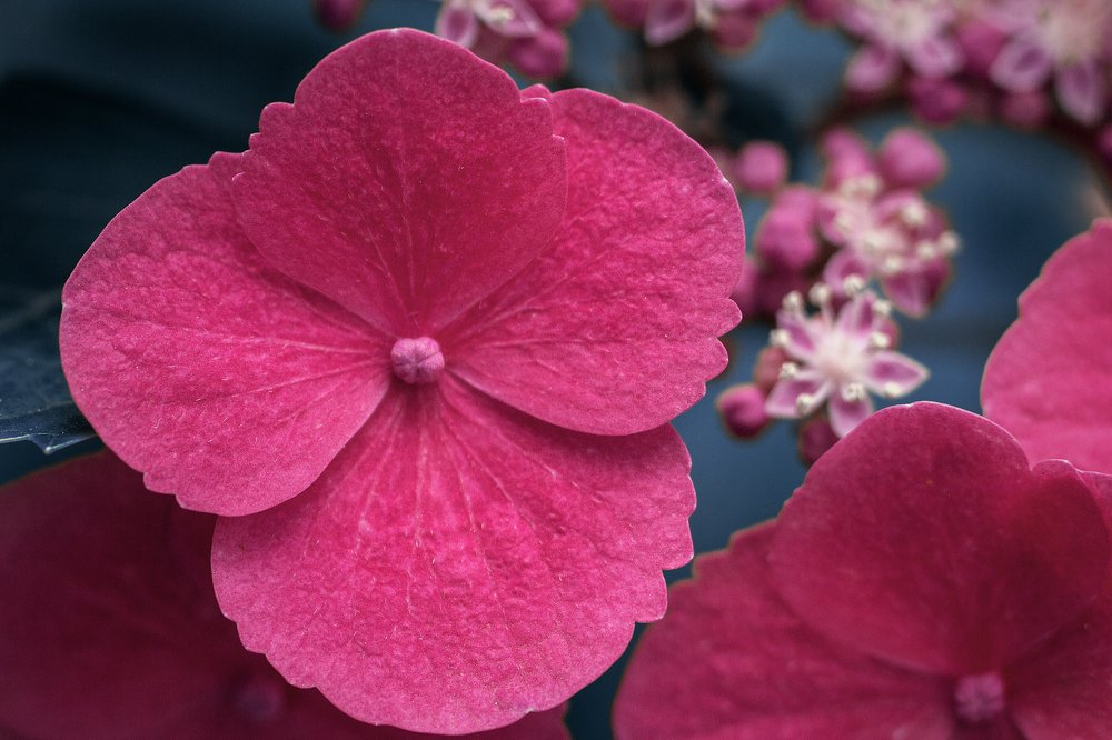 Photograph by Алексей Тимофеев