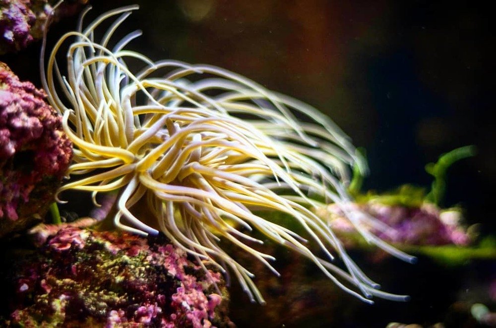 Photograph by Десятова Лика