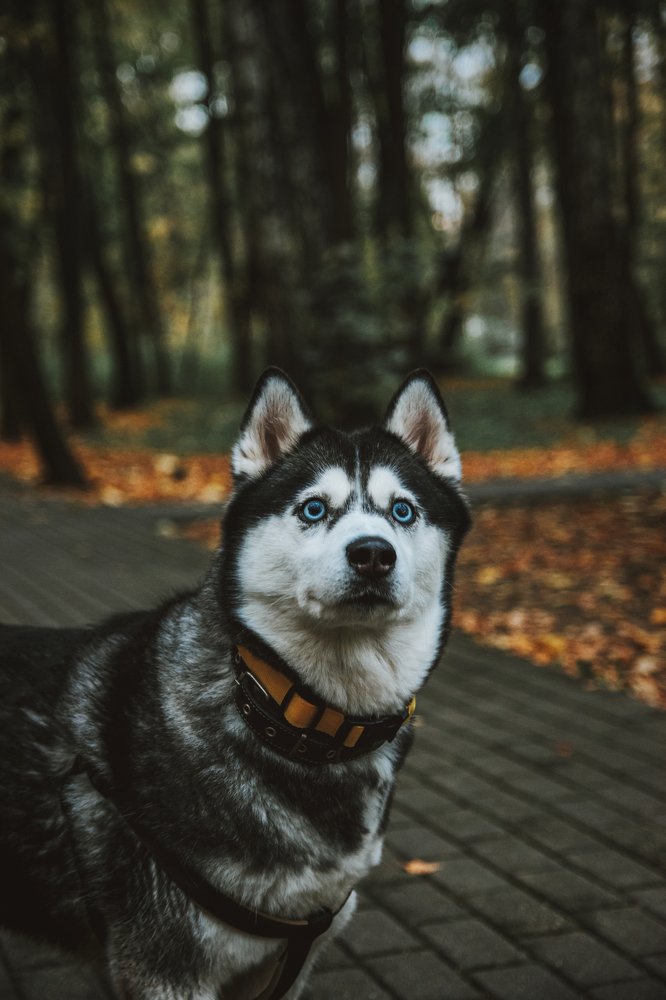 Photograph by Александр Гамалеев