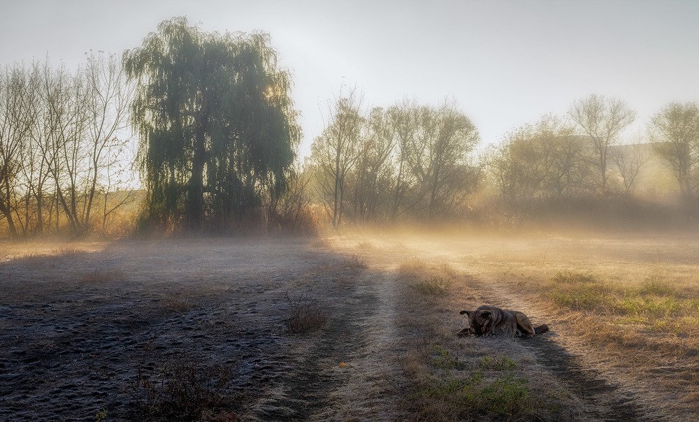 Photograph by Сергей Епишев