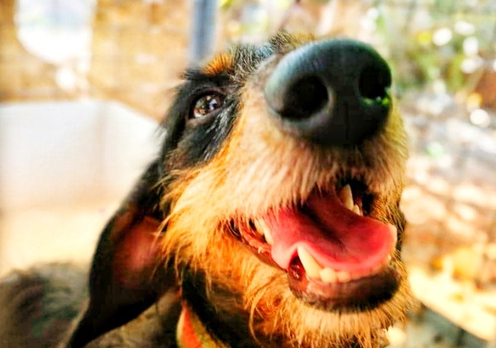 Photograph by JAIRA ALOP