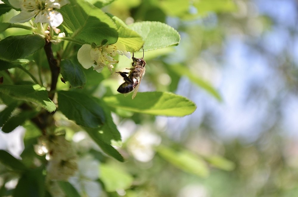 Photograph by Виктория Потапова