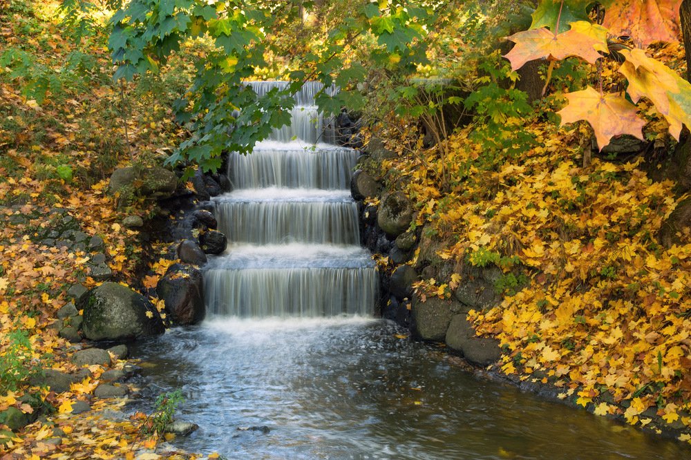 Photograph by Сипаева Катерина