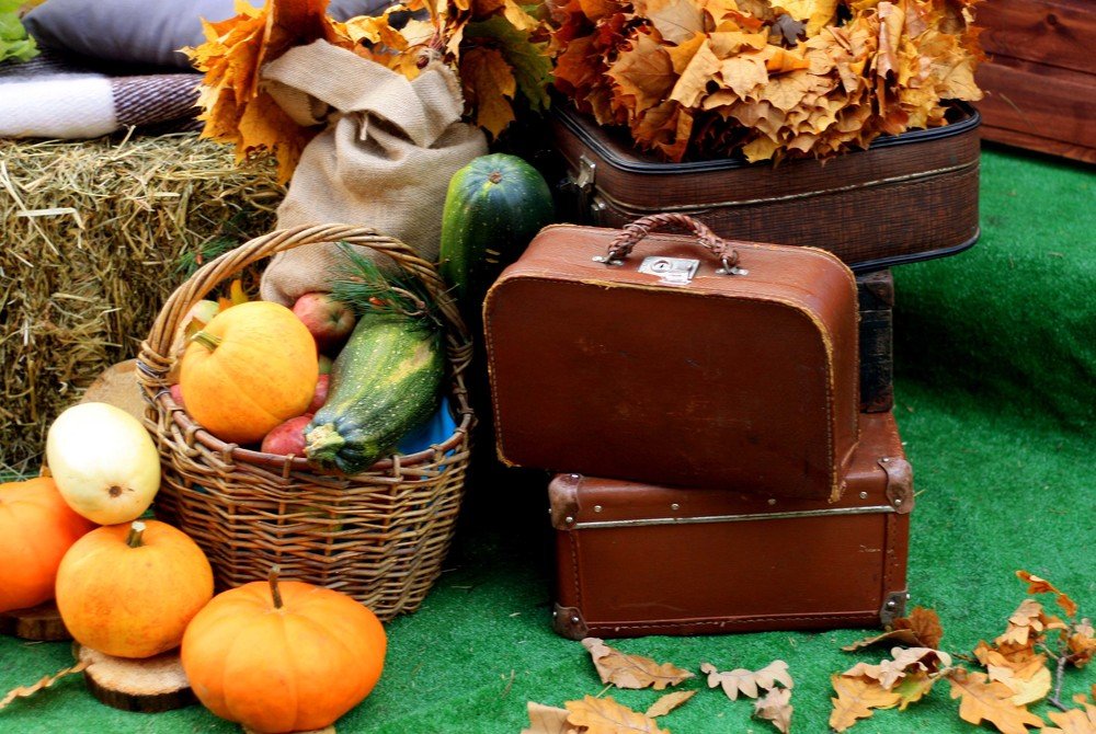 Photograph by Наталья Сазонова