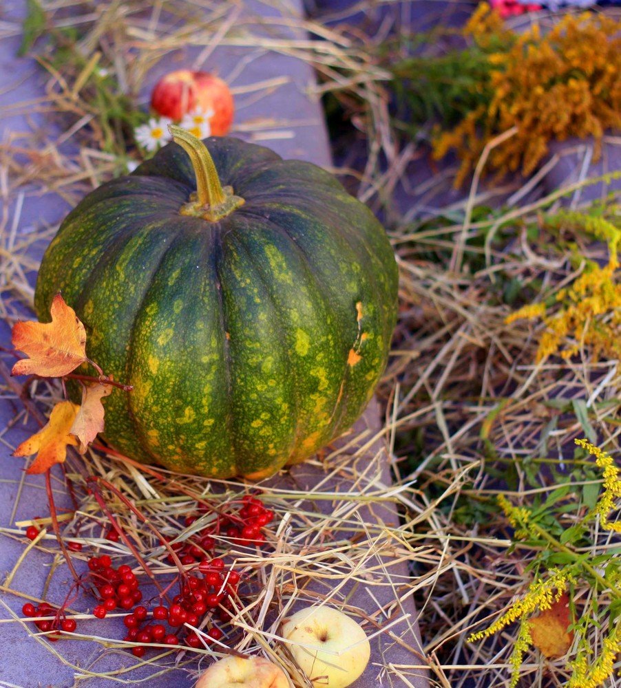 Photograph by Наталья Сазонова