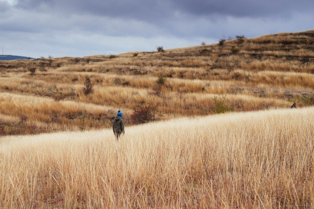 Фотография автора Юлия Трубанова