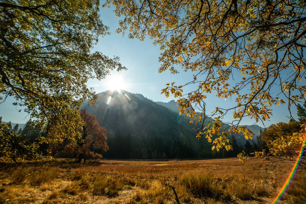 Photograph by Ruslan Pastushak