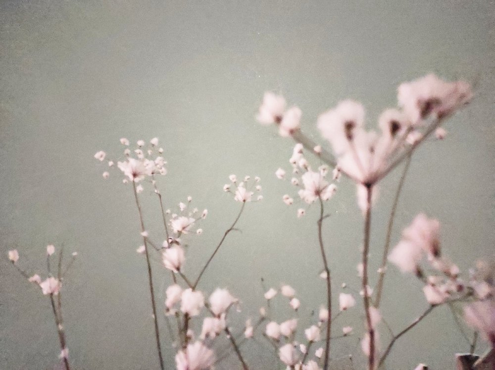 Ностальгия