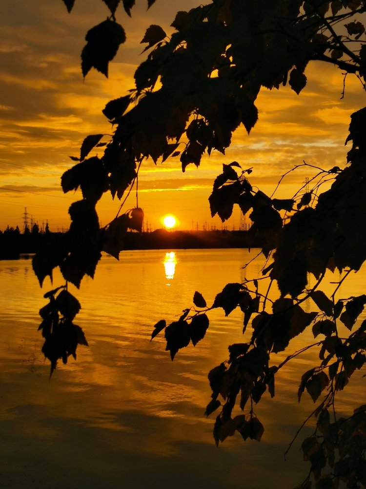 Photograph by Юлия Арестова