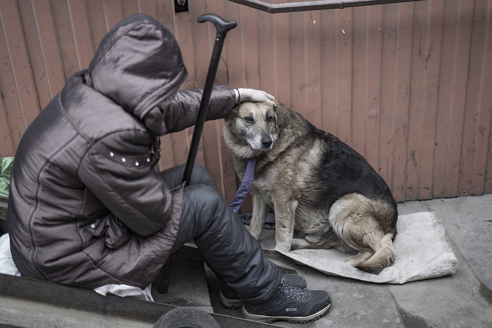 Фотография автора Александр Кременицкий