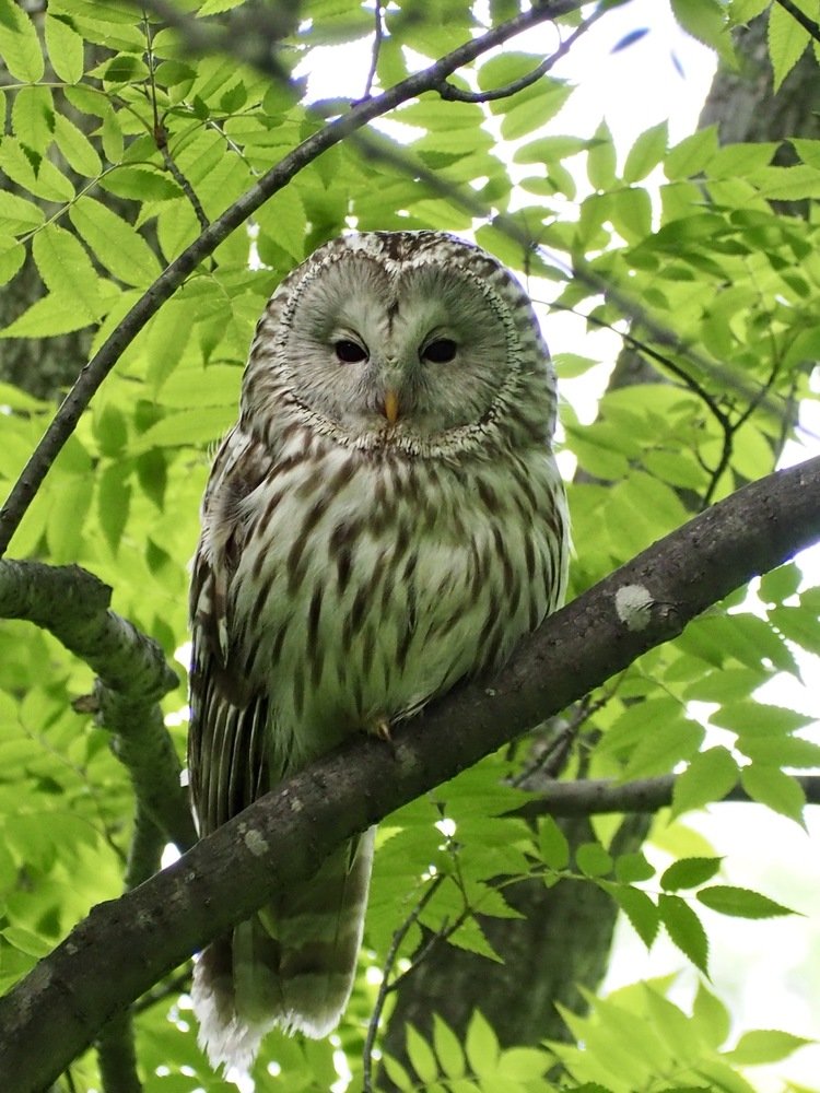 Photograph by Юлия Поршнева