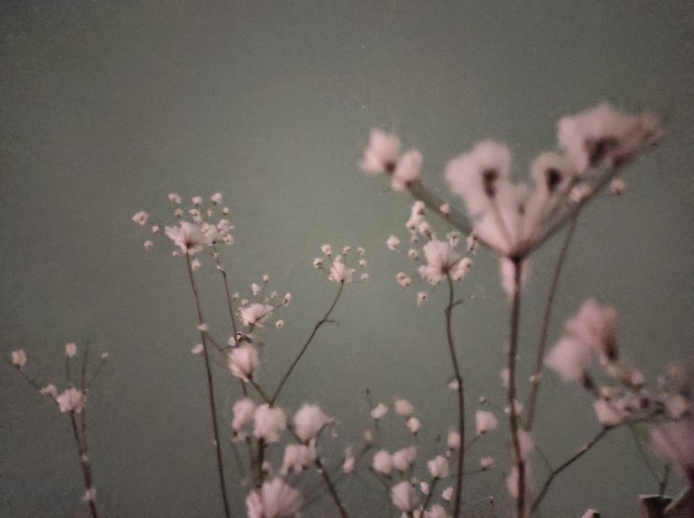 Photograph by Ирина Саттарова