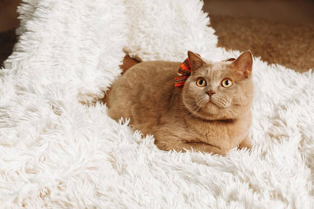 Photograph by Петр Капралов