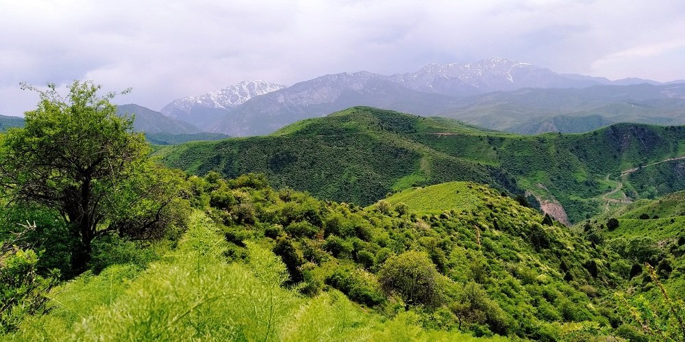 Photograph by Anetta Kopenkina