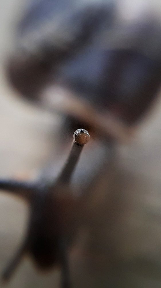 Photograph by Алексей Каширский
