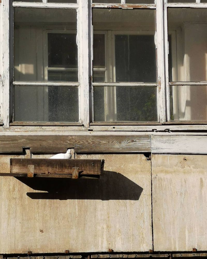 Photograph by Юлия Кузнецова