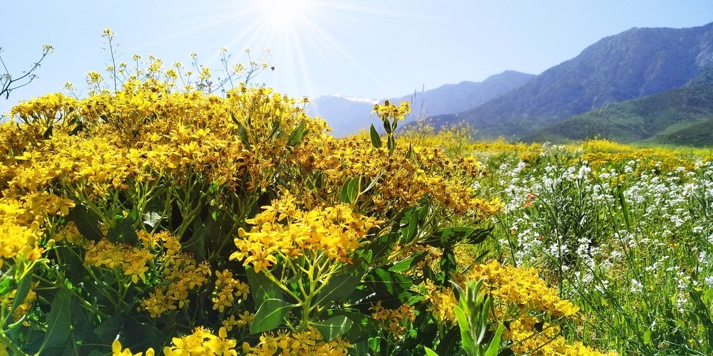 Photograph by Anetta Kopenkina