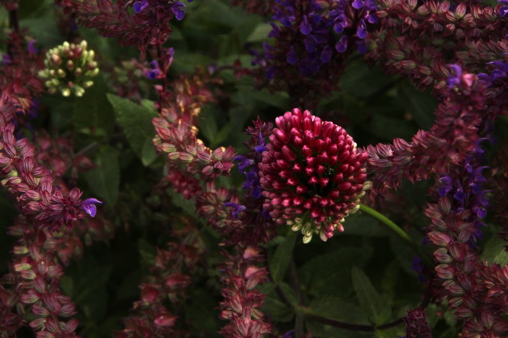 Photograph by Илья Беликов