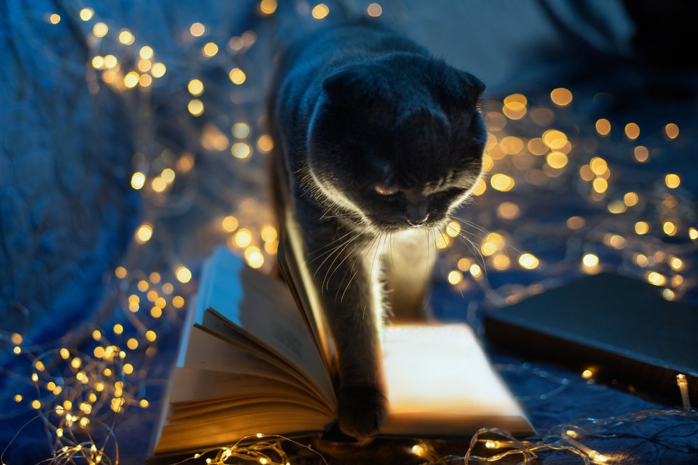 Photograph by Оксана Нечаева