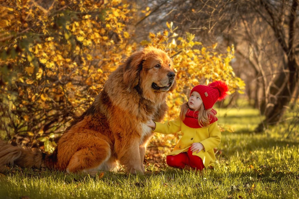 Photograph by Наталья Сидорова