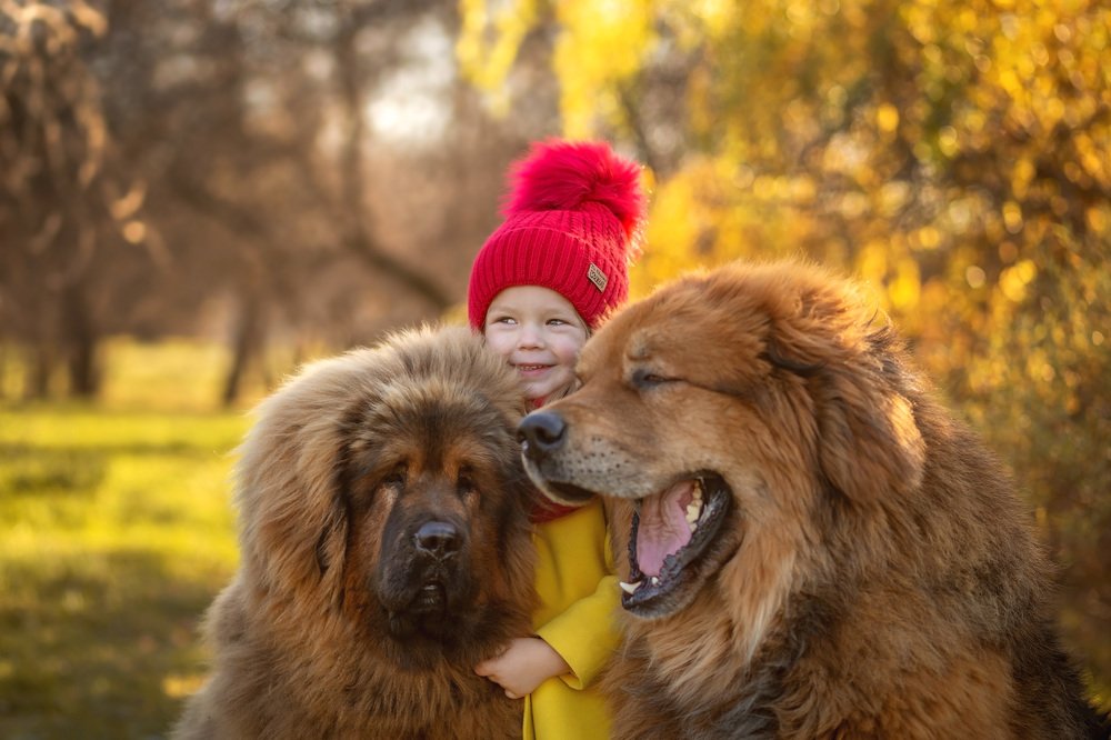 Photograph by Наталья Сидорова