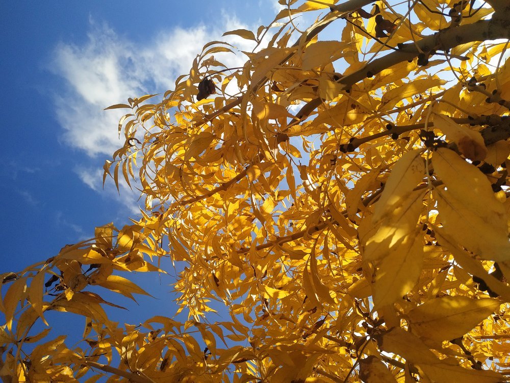 Photograph by Valeriaja Prokopenko