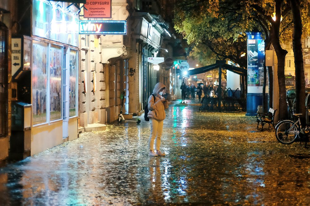 Lost in the night rain