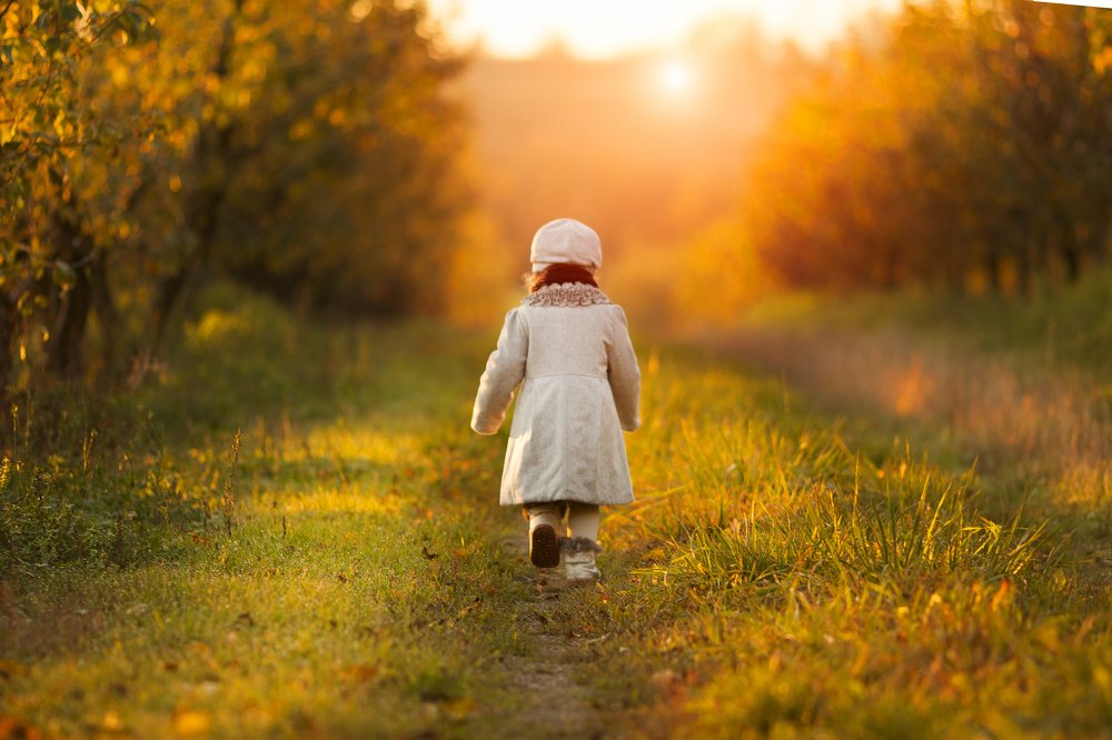 Фотография автора Сергей Пашковский