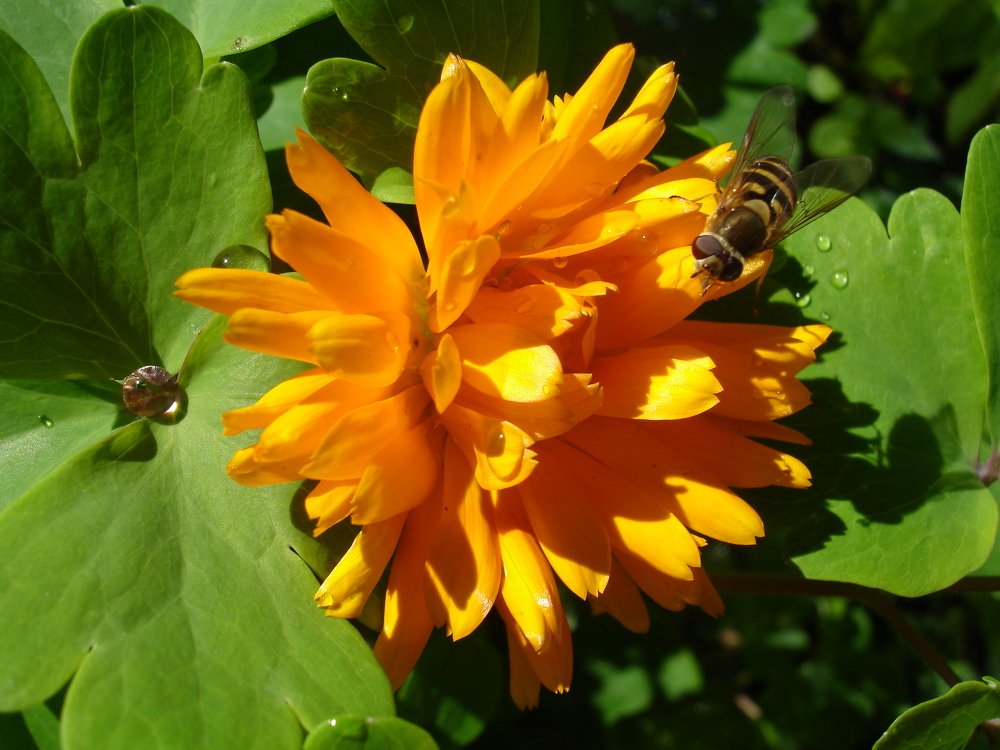 Photograph by Людмила