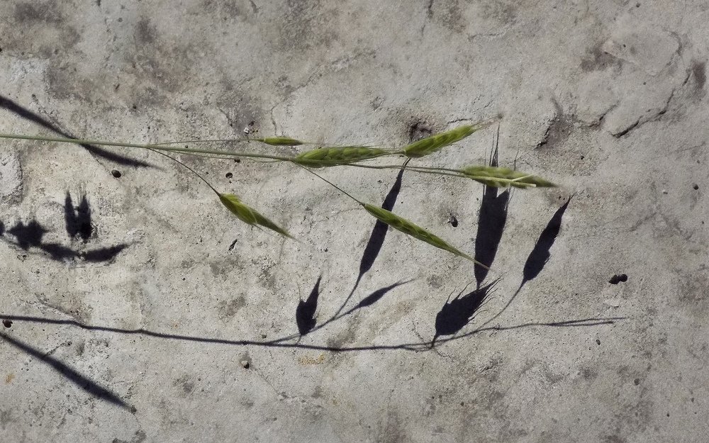 Photograph by Сергей Рудаков