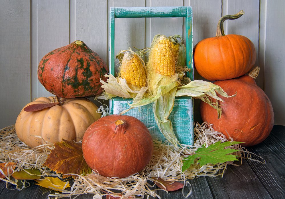 Photograph by Дмитрий Петренко