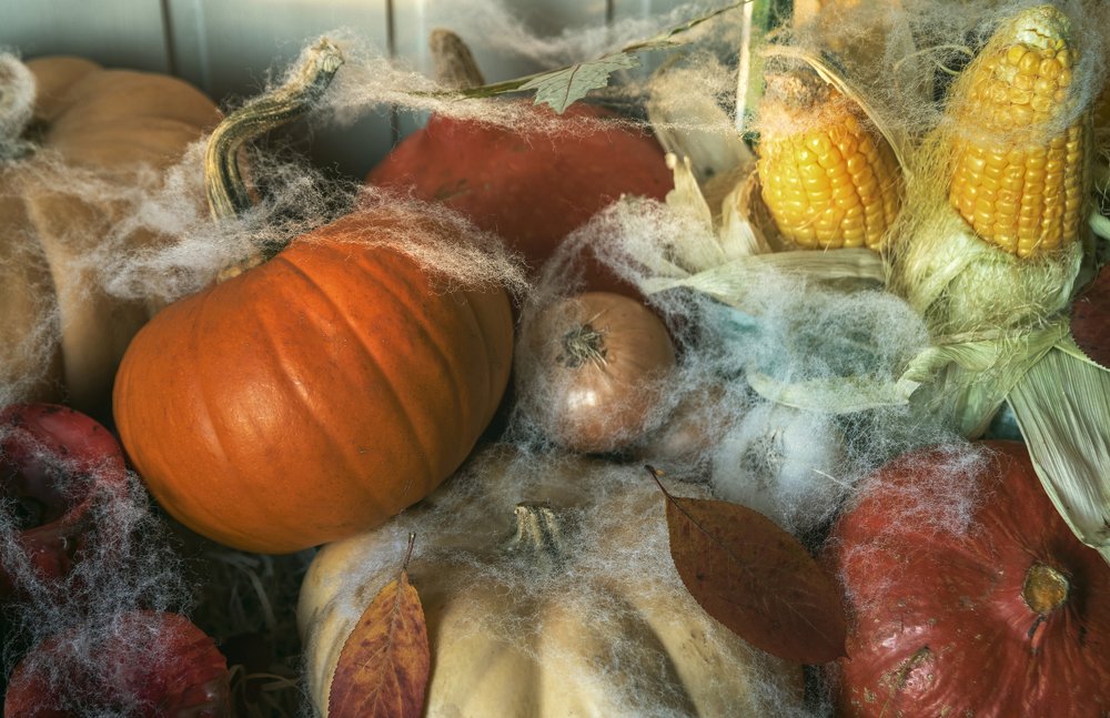 Photograph by Дмитрий Петренко