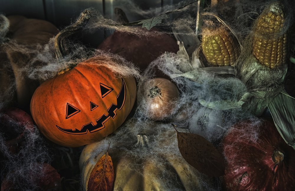 Photograph by Дмитрий Петренко