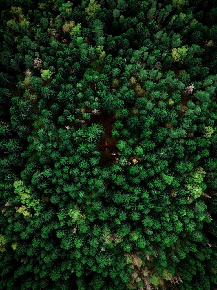 Photograph by Михаил Деревянов