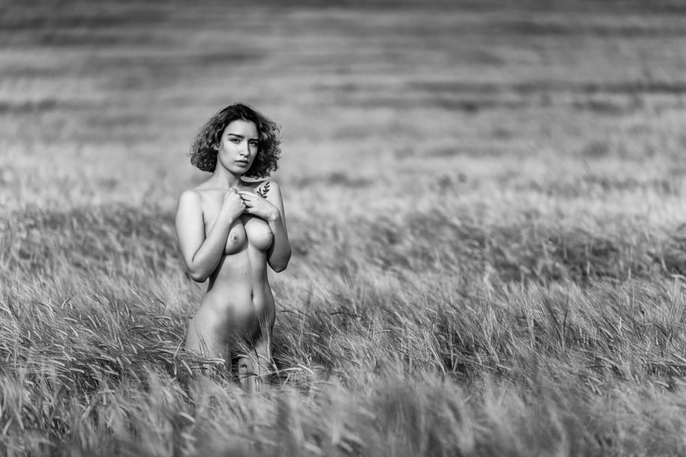 Photograph by Денис Фустаченко