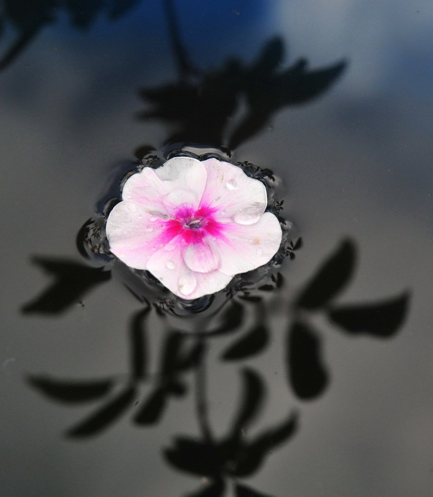 Прощание с летом